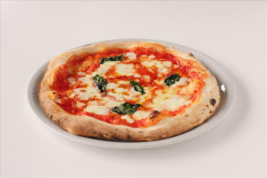 2026.01.23お知らせ画像